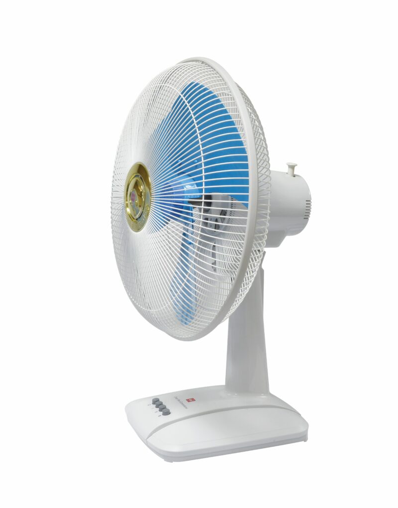 Models: A40B