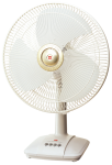 Models: A40B
