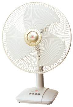 Models: A40B