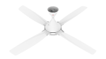 Models: G56DG